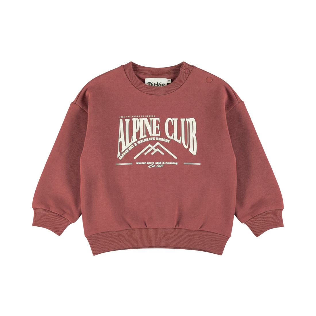 Sweat bébé garçon terracotta Alpine Club Aydan