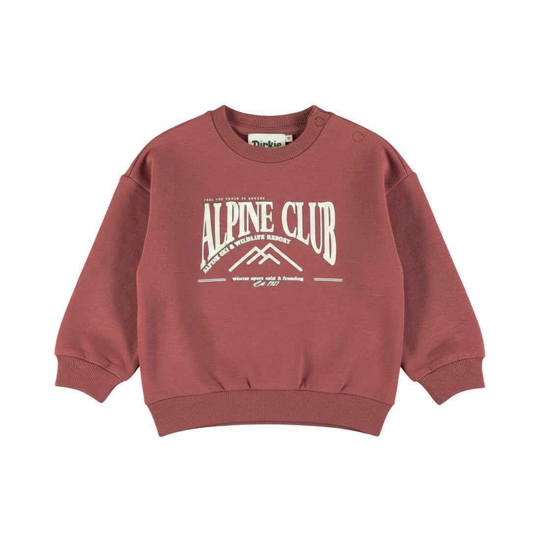 Sweat bébé garçon terracotta Alpine Club Aydan