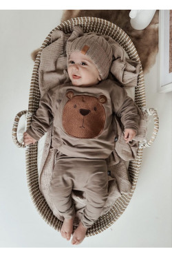 Pull petit ours