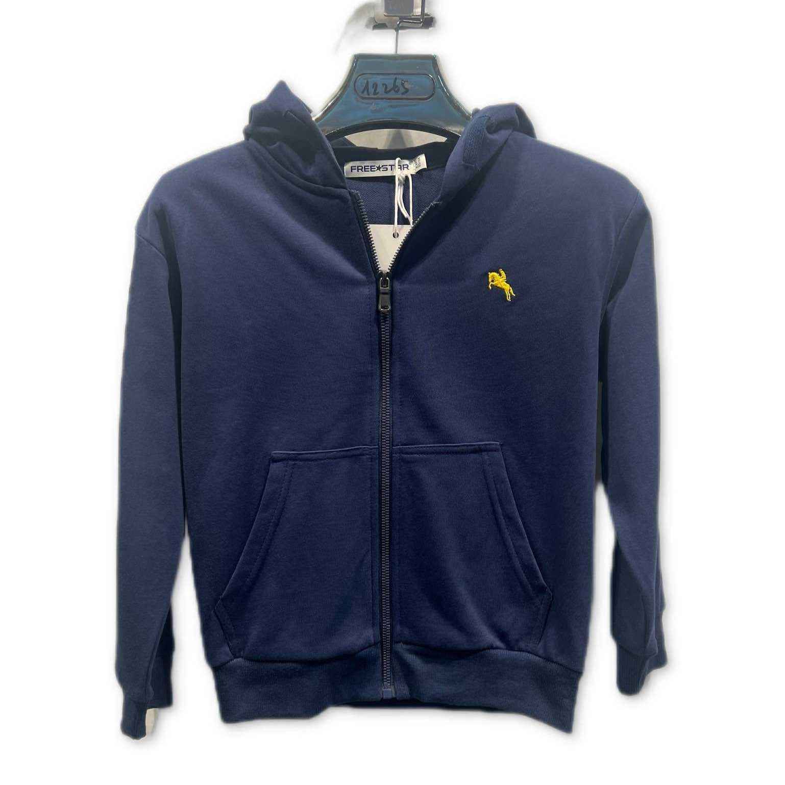 Veste a capuche Gauvin