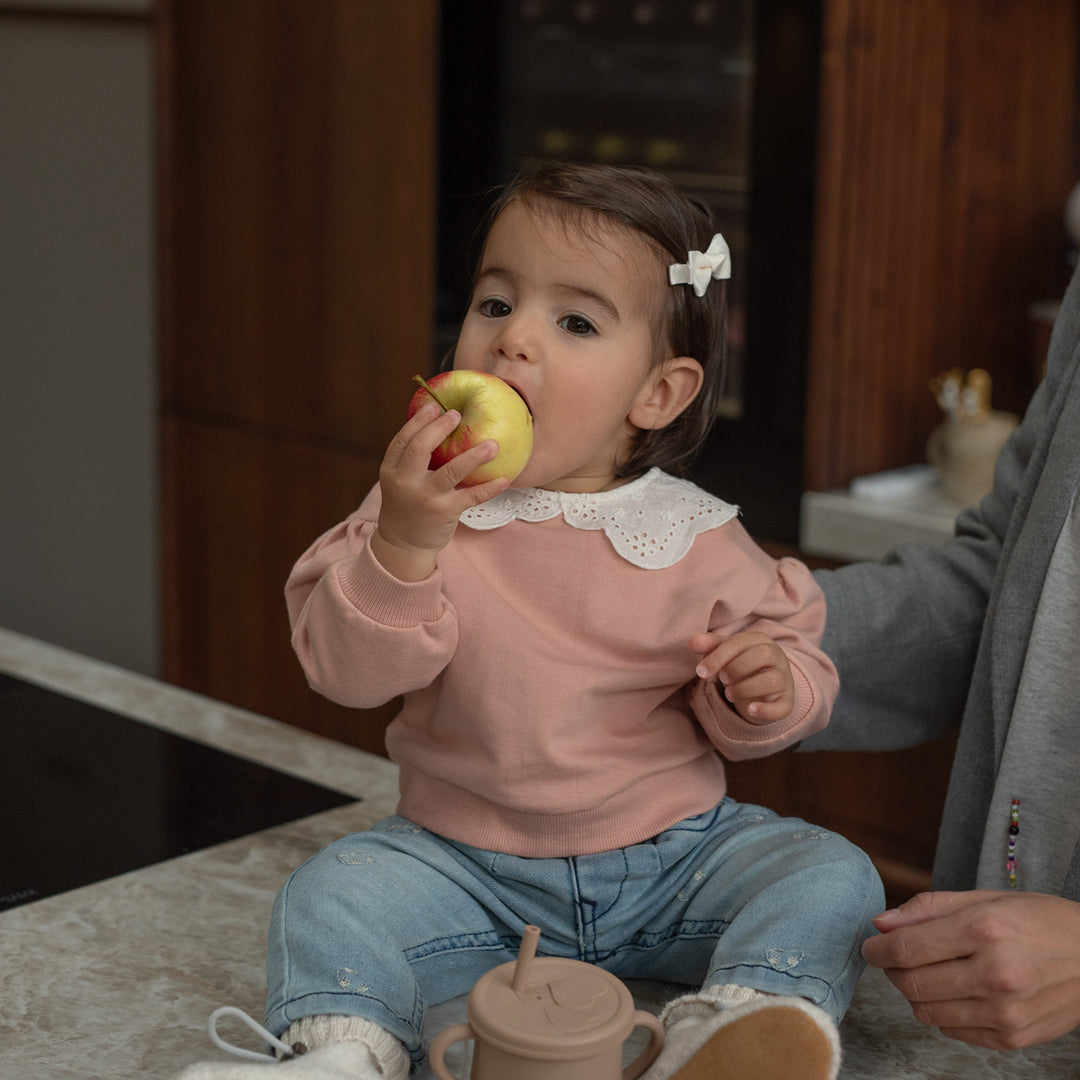 Sweat bébé fille rose poudré col brodé Isaline