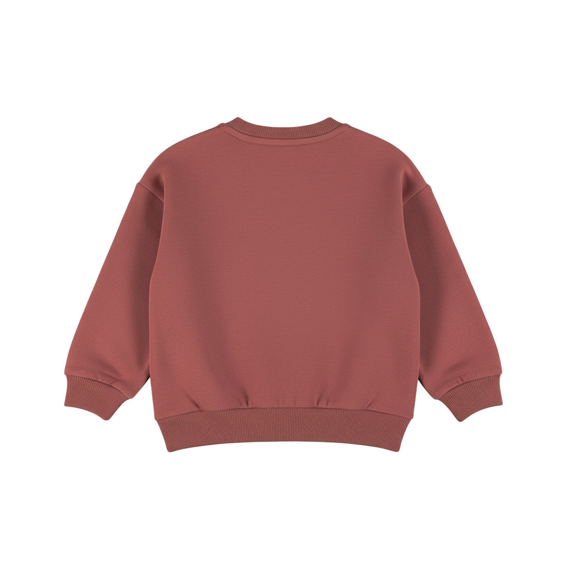 Sweat bébé garçon terracotta Alpine Club Aydan